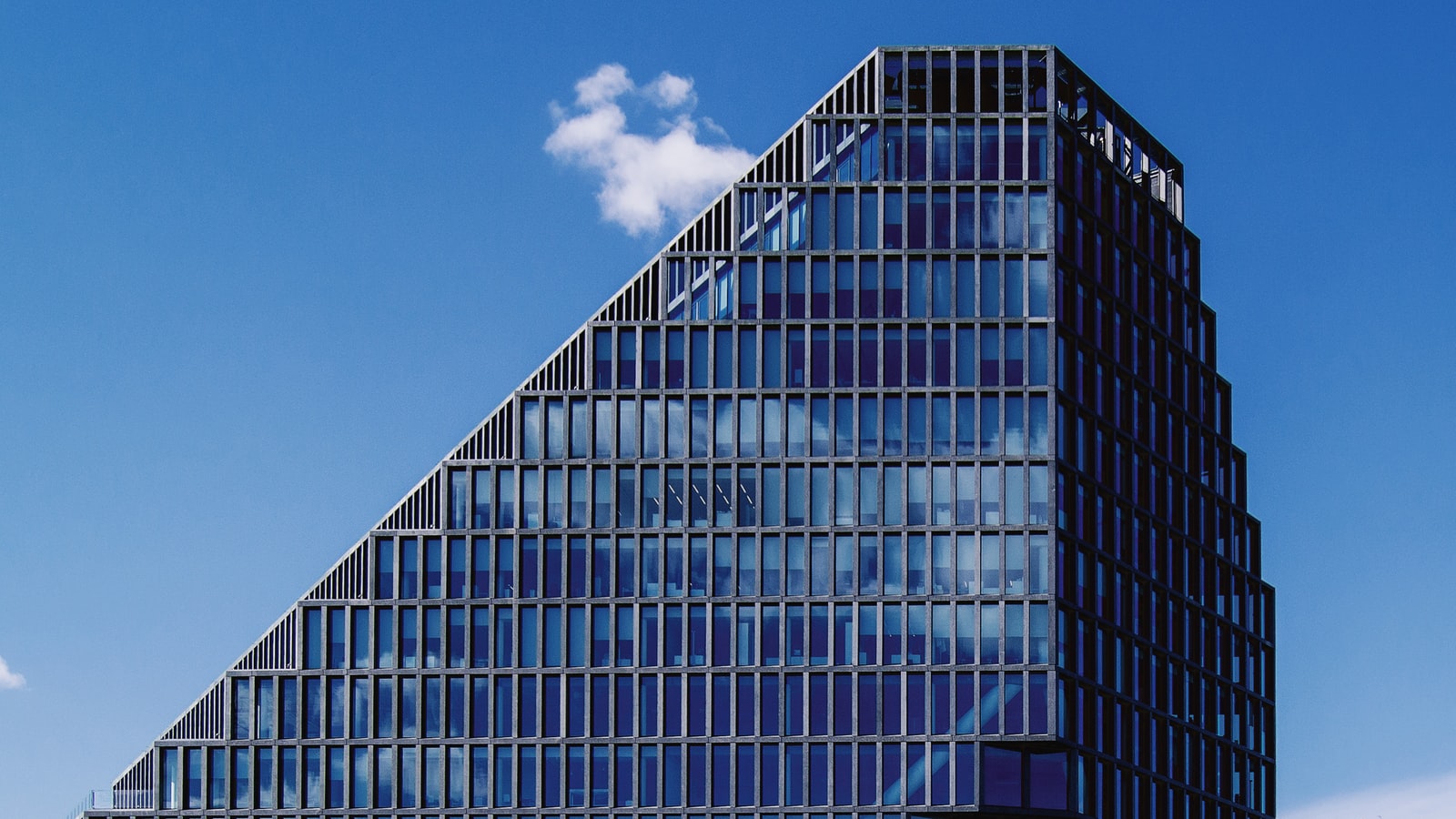 blue and gray glass window building